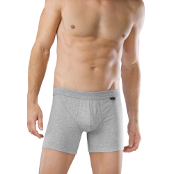 Schiesser short Authentic - 2-pack  grijs