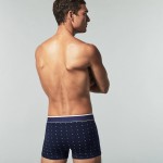 LACOSTE - Set van 3 shorts - marine/rood/blauw